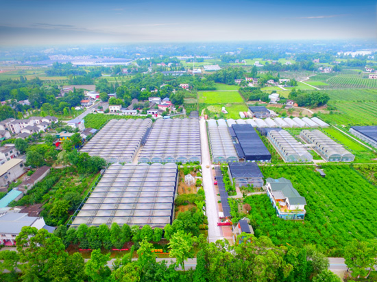農(nóng)業(yè)園區(qū)550 農(nóng)業(yè)園區(qū)550