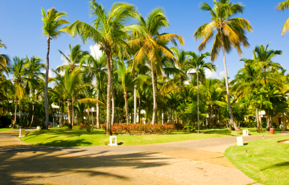 公園弱電智能化工程系統方案構建覆蓋全園的智能化體系